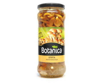Опята целые консервированные Botanica 580 мл 5 шт